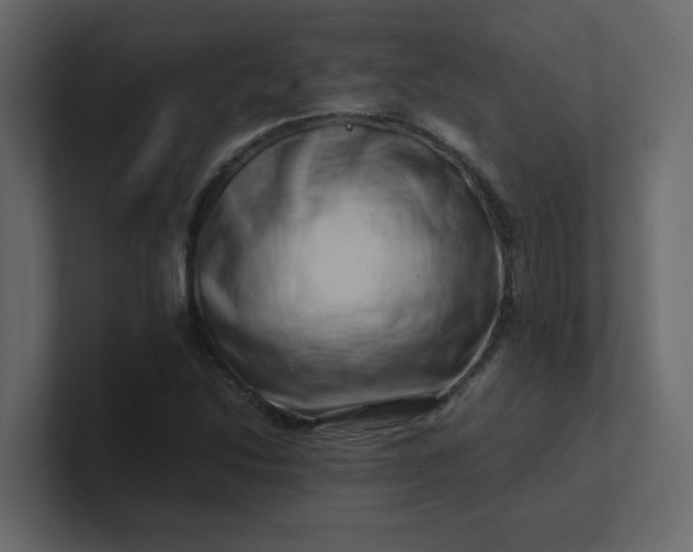 X0000101101214200807101440