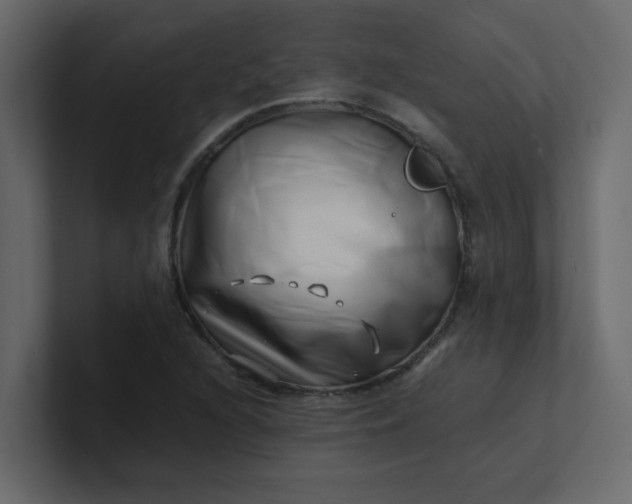 X0000101101216200807101440