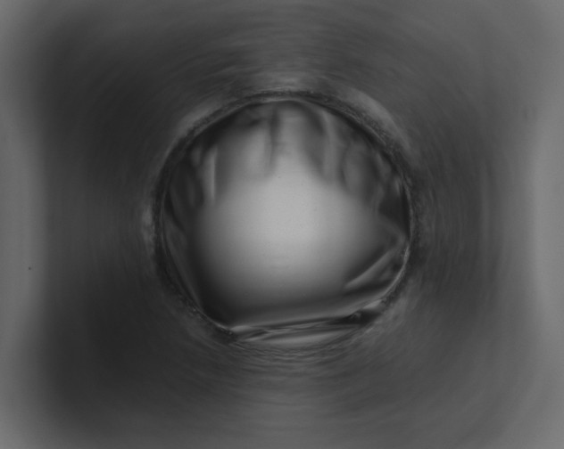 X0000101101218200807101440
