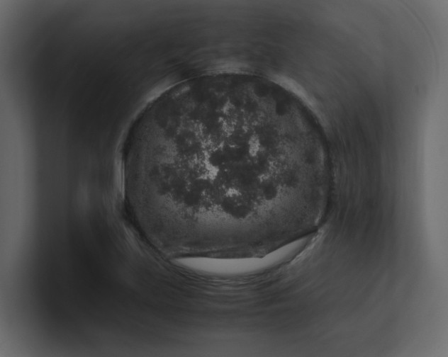 X0000101101219200807101440