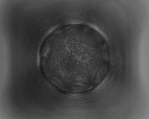 X0000101101221200807101440