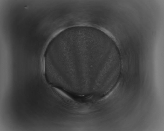 X0000101101223200807101440