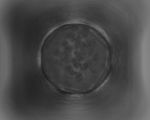 X0000101101224200807101440