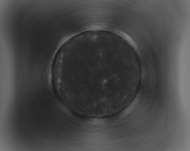 X0000101101226200807101440