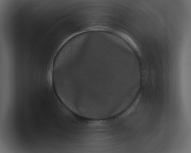 X0000101101228200807101440