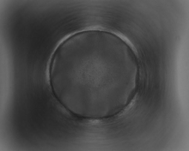 X0000101101230200807101440