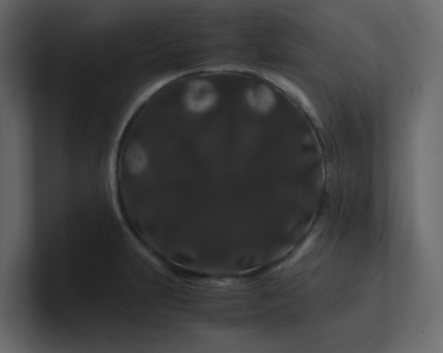 X0000101101231200807101440