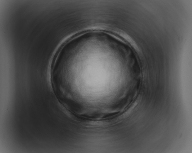 X0000101101232200807101440