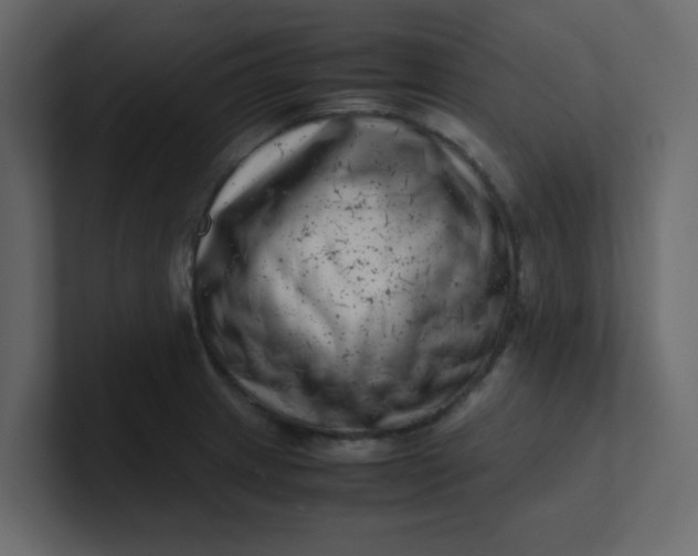 X0000101101233200807101440
