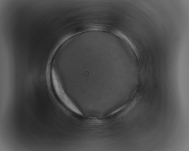 X0000101101235200807101440
