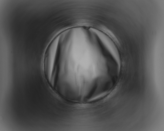 X0000101101236200807101440