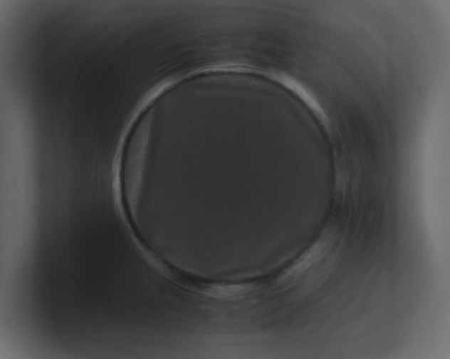 X0000101101237200807101440