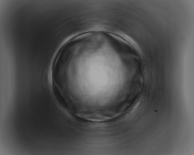 X0000101101238200807101440