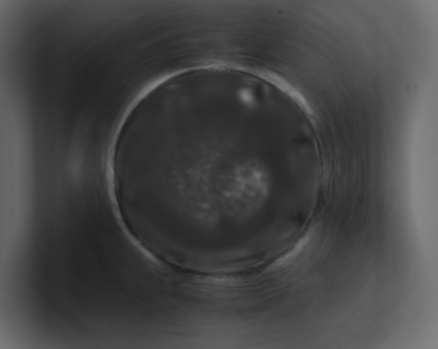 X0000101101239200807101440