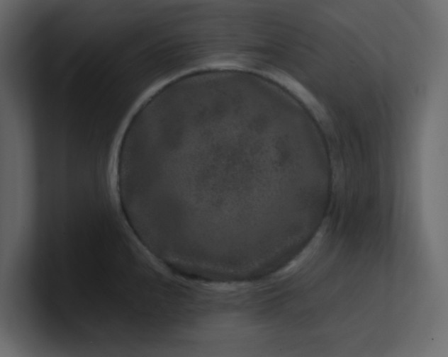 X0000101101240200807101440