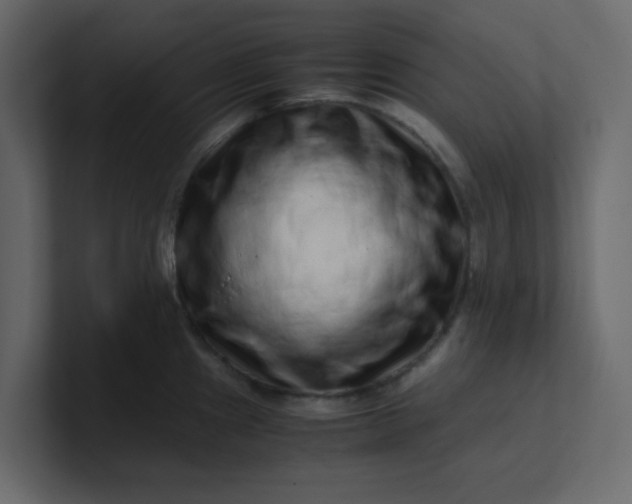 X0000101101241200807101440
