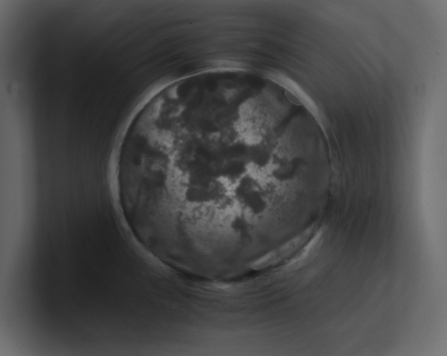 X0000101101243200807101440