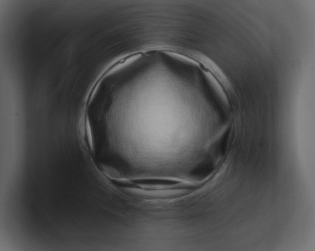 X0000101101244200807101440