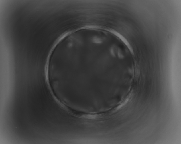 X0000101101245200807101440