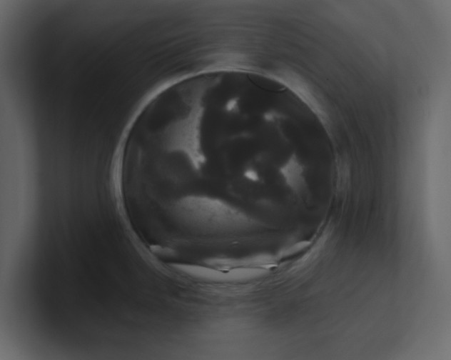 X0000101101246200807101440