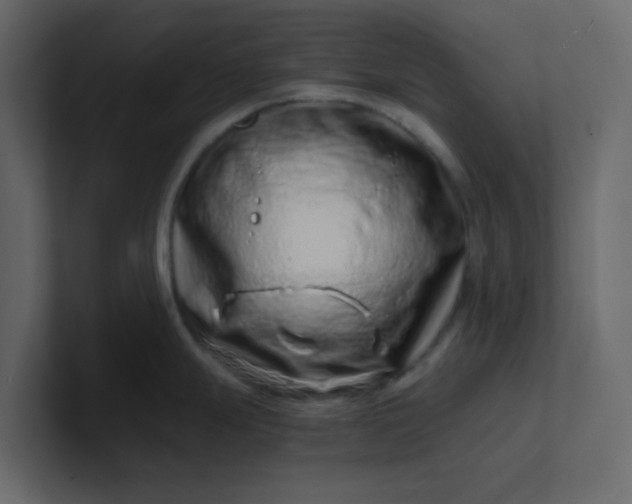 X0000101101247200807101441