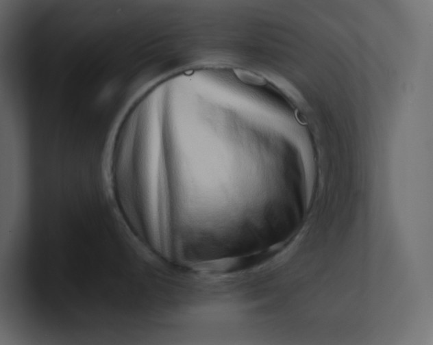 X0000101101248200807101441