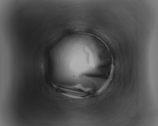 X0000101101250200807101440