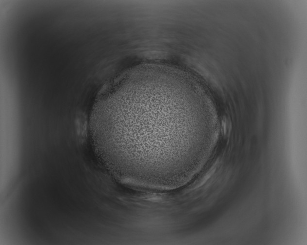 X0000101101251200807101440