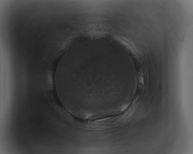 X0000101101252200807101440