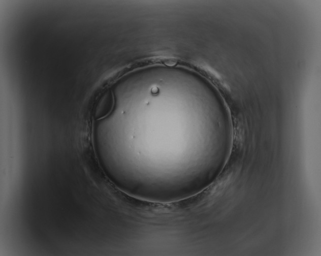 X0000101101255200807101440