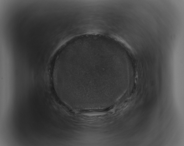 X0000101101256200807101440