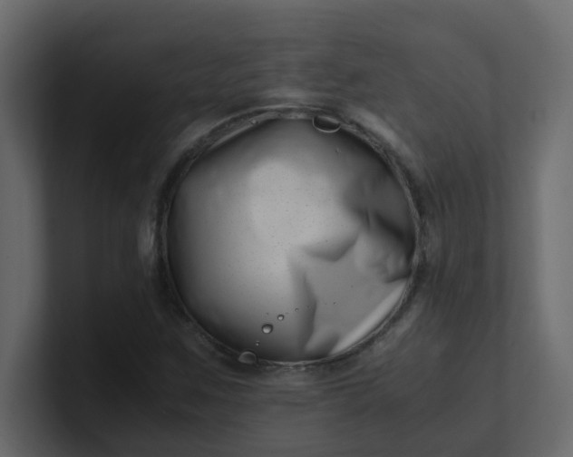 X0000101101259200807101440