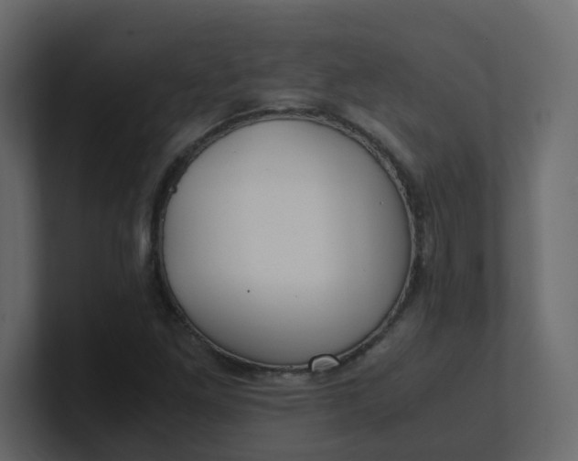 X0000101101261200807101440