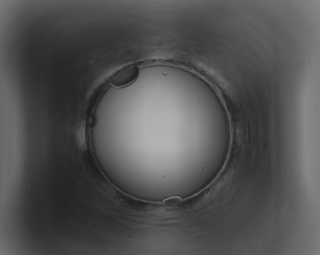 X0000101101262200807101440