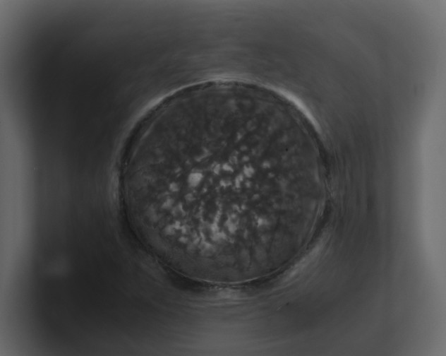 X0000101101263200807101440