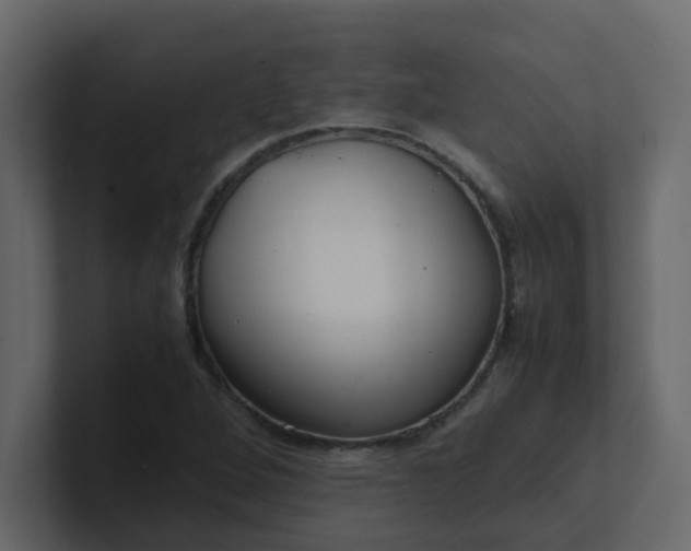X0000101101264200807101440