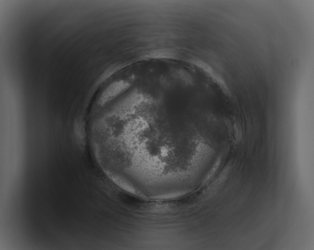 X0000101101266200807101440