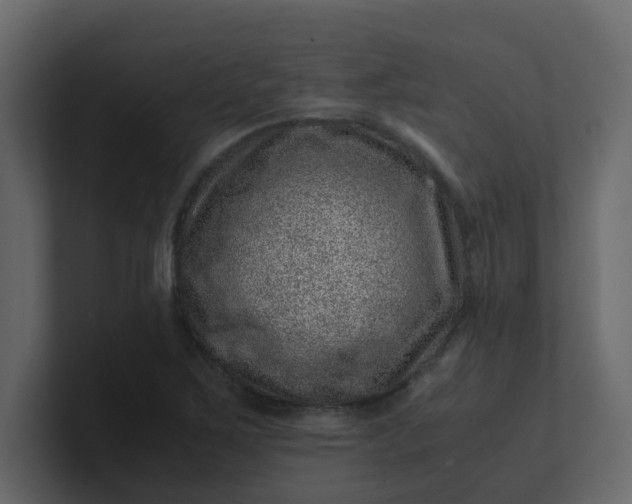 X0000101101267200807101440