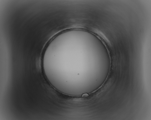 X0000101101268200807101440