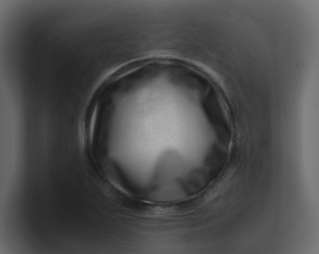 X0000101101271200807101440
