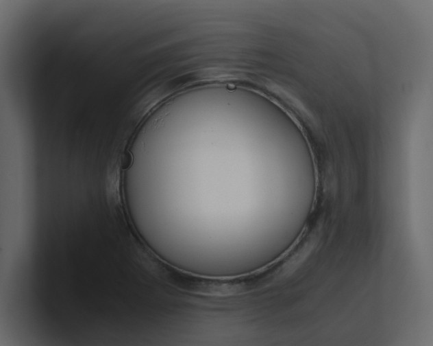X0000101101273200807101440