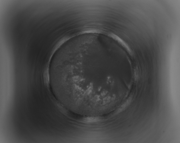 X0000101101274200807101440