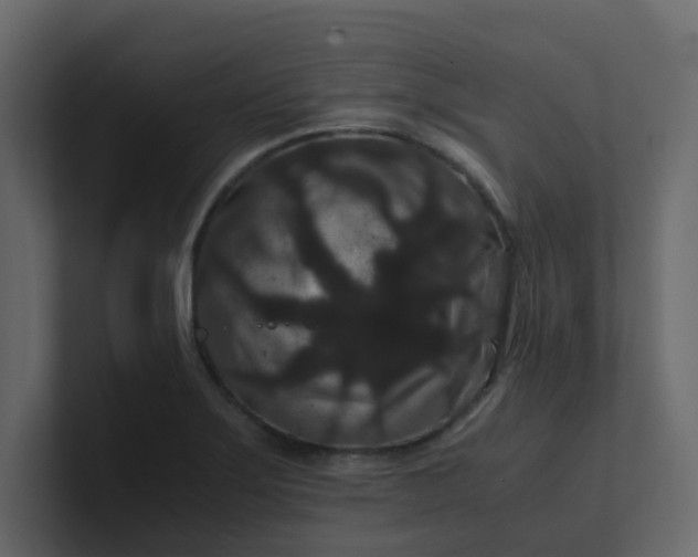X0000101101275200807101440