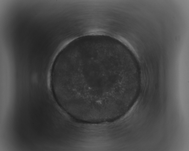 X0000101101277200807101440