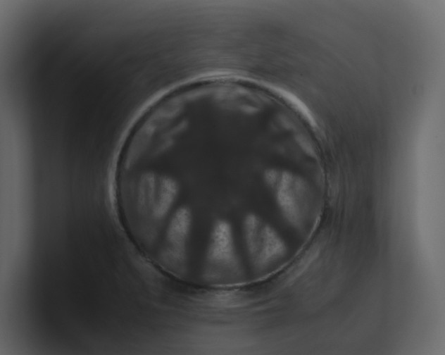 X0000101101279200807101439