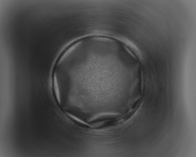 X0000101101280200807101439