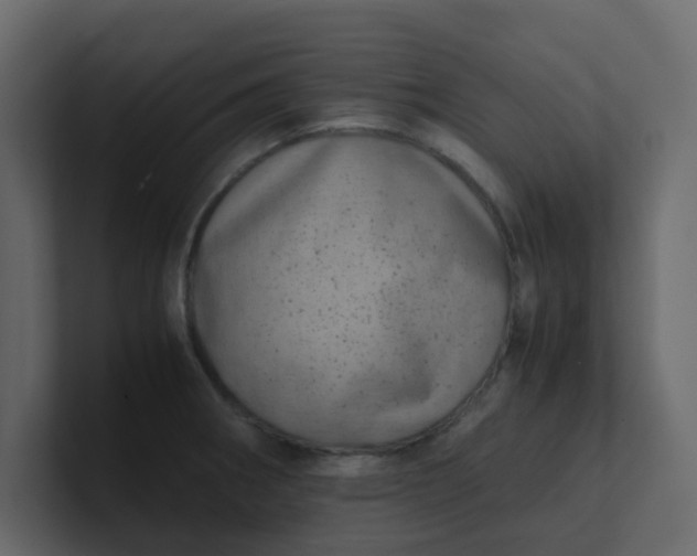 X0000101101282200807101439