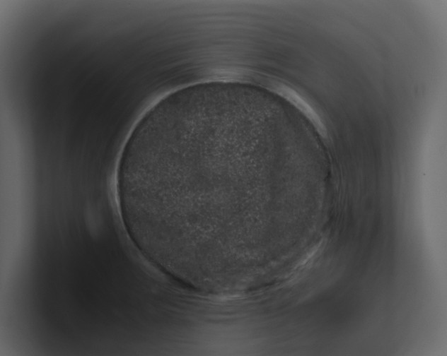 X0000101101283200807101439