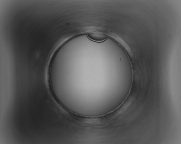 X0000101101285200807101439