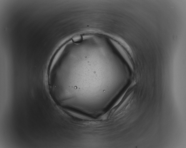 X0000101101287200807101439